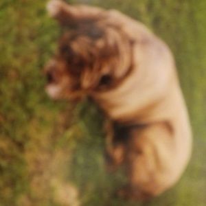 Meet your Posher, Richard